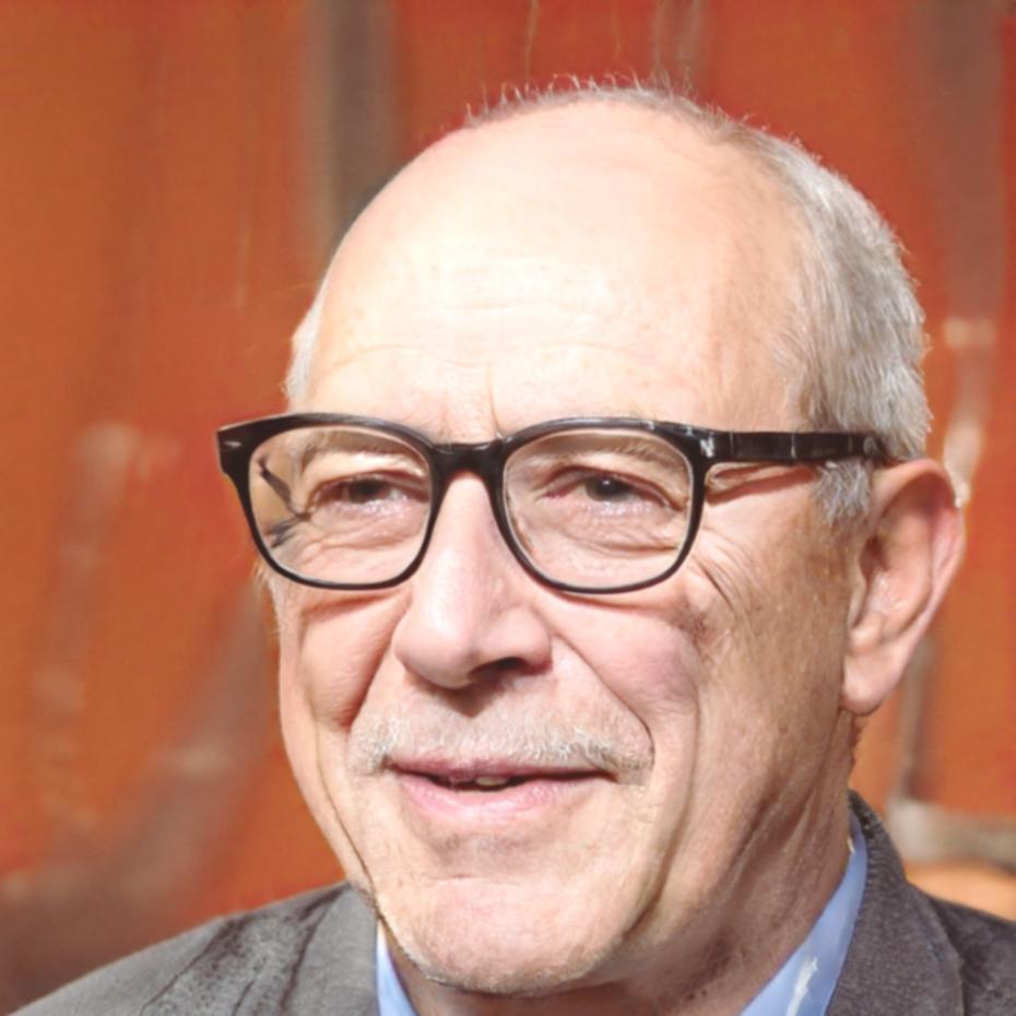 Hendrik Vollmer, Gründer und Hauptberater